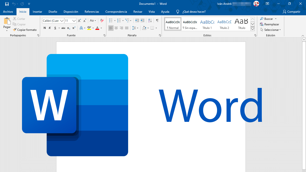 Microsoft Word