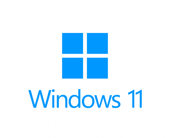 Windows 11 Logo