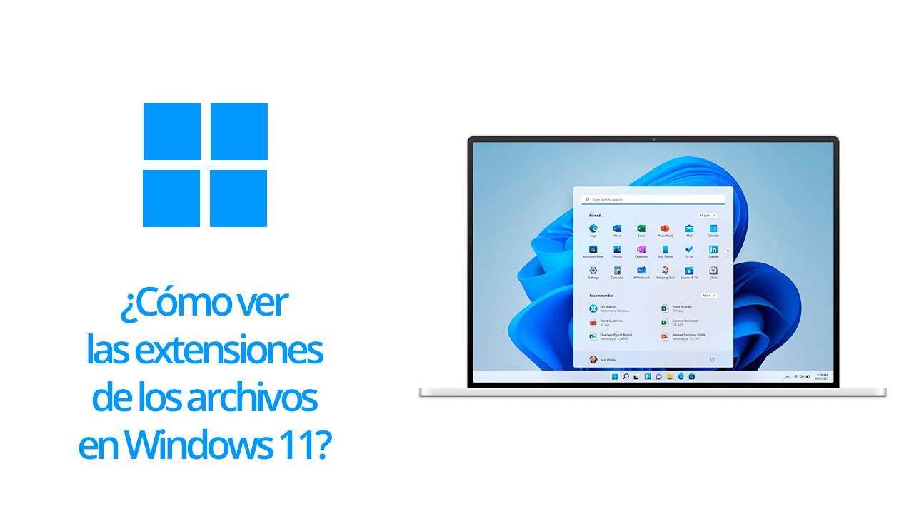 Cómo ver las extensiones de los archivos en Windows 11